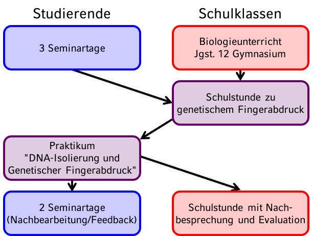 Genetik macht Schule 2024